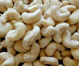copy44_cashew nuts